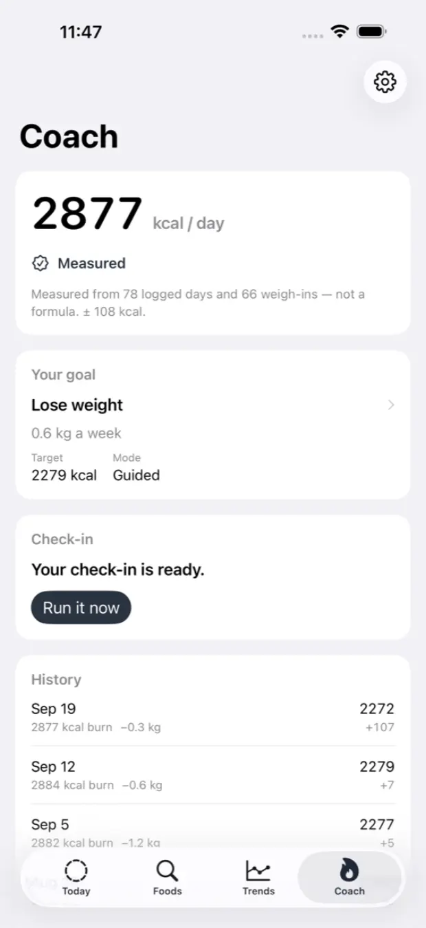 The coach screen showing measured daily expenditure